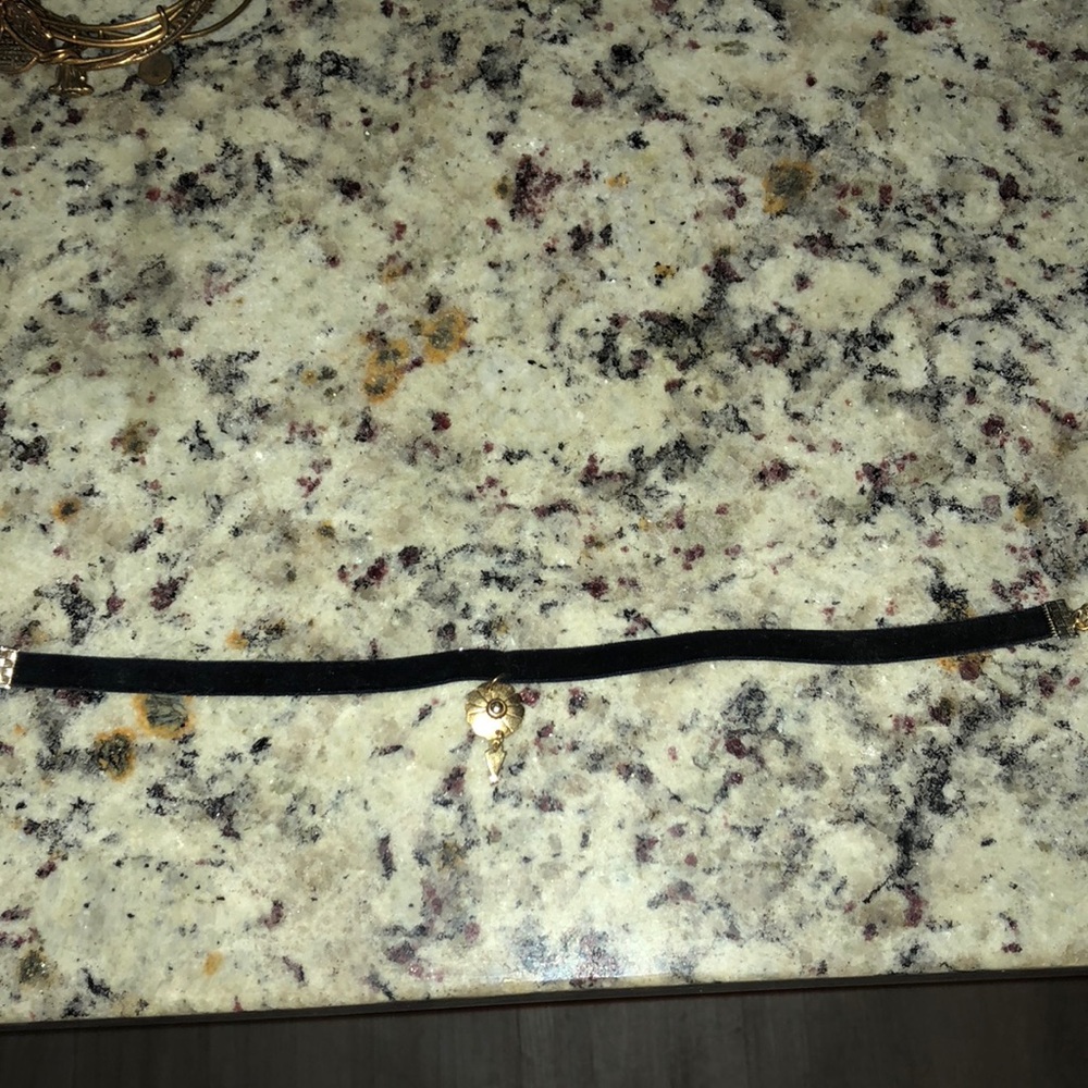 Vanessa Mooney Velvet Choker